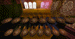 11cash.gif (3547 byte)