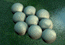 11pooltable.gif (3514 byte)