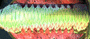 11trilobyte.gif (4683 byte)